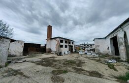 Hala cu anexe pentru multiple activități, zona Sebes