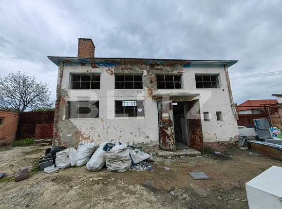 Spațiu industrial de vânzare Sebeș - 115277SVI | BLITZ Alba Iulia | Poza4