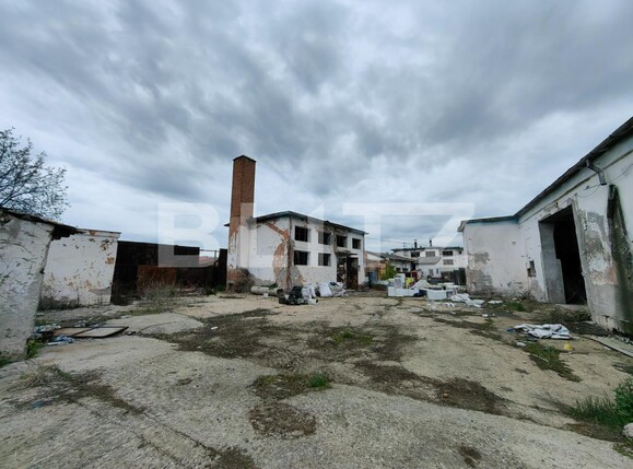 Spațiu industrial de vânzare Sebeș - 115277SVI | BLITZ Alba Iulia | Poza6