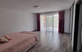 Casă 6 camere, 323 mp utili, zona Micești - Alba Iulia