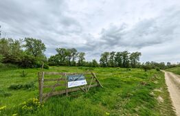 Teren intravilan 6100 mp, Sebes