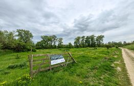 Teren intravilan 6100 mp, Sebes