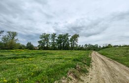 Teren intravilan 6100 mp, Sebes