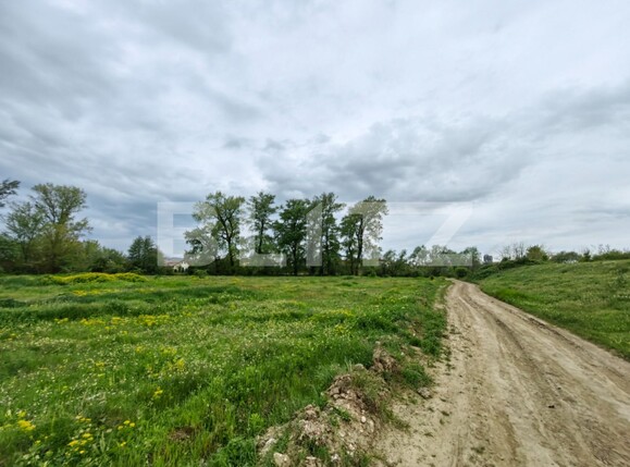 Teren de vânzare Sebeș - 115326TV | BLITZ Alba Iulia | Poza3