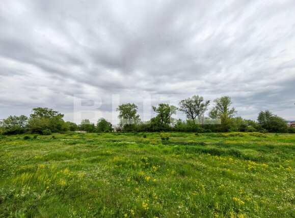 Teren de vânzare Sebeș - 115331TV | BLITZ Alba Iulia | Poza2