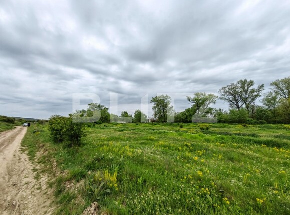 Teren de vânzare Sebeș - 115331TV | BLITZ Alba Iulia | Poza3