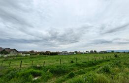 Teren intravilan, 5500 mp, strada Florilor - Sebes