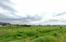 Teren intravilan, 5500 mp, strada Florilor - Sebes