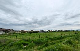 Teren intravilan, 5500 mp, strada Florilor - Sebes