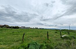 Teren intravilan, 5500 mp, strada Florilor - Sebes