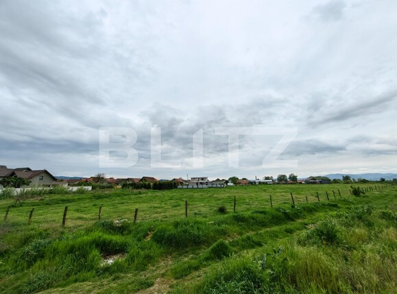 Teren de vânzare Sebeș - 115337TV | BLITZ Alba Iulia | Poza2