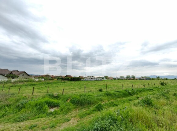 Teren de vânzare Sebeș - 115337TV | BLITZ Alba Iulia | Poza5