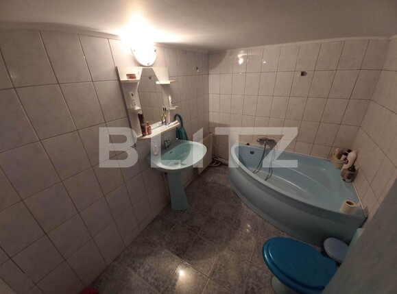 Spațiu comercial de vânzare Sebeș - 115577SVC | BLITZ Alba Iulia | Poza6