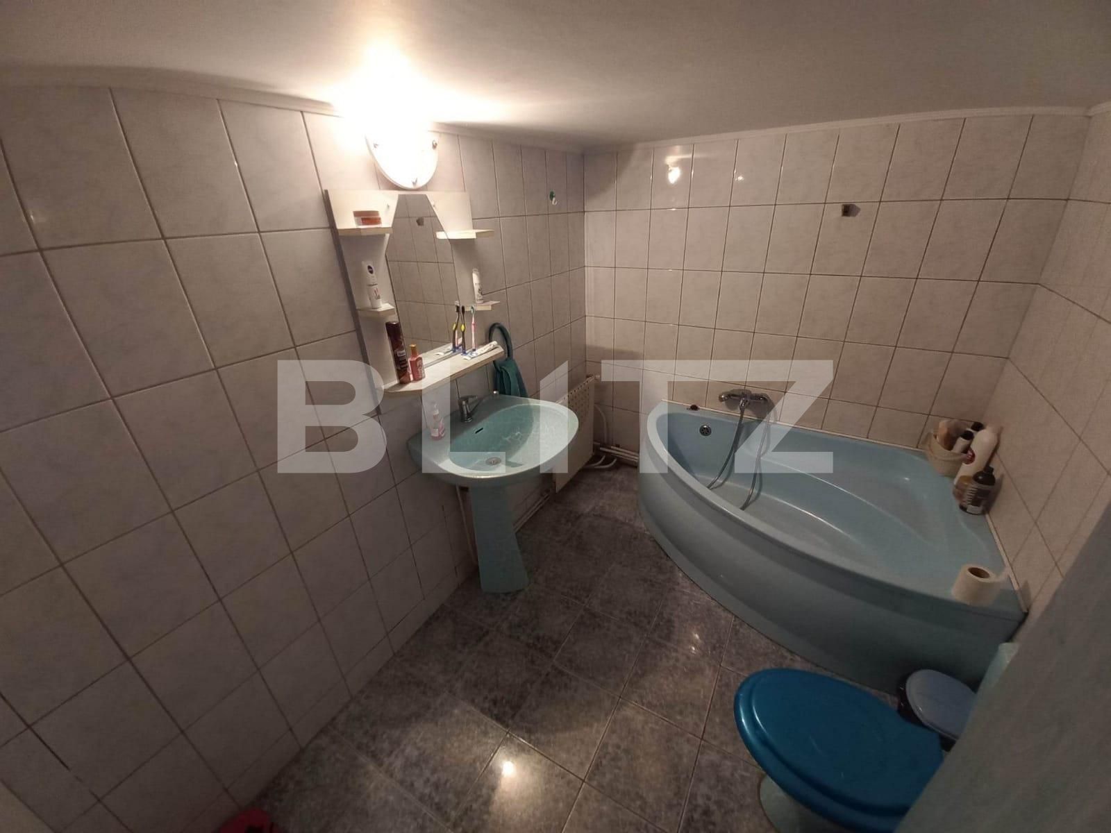 Spațiu comercial de vânzare Sebeș - 115577SVC | BLITZ Alba Iulia | Poza6