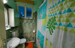 Conac boieresc, 4ha de teren și clădire pretabilă pentru Agropensiune, zona Șard