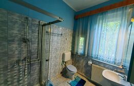 Conac boieresc, 4ha de teren și clădire pretabilă pentru Agropensiune, zona Șard