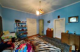 Conac boieresc, 4ha de teren și clădire pretabilă pentru Agropensiune, zona Șard