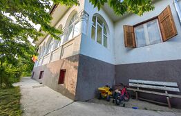 Conac boieresc, 4ha de teren și clădire pretabilă pentru Agropensiune, zona Șard