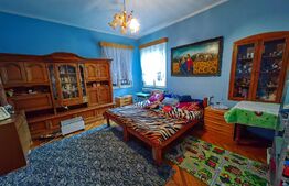 Conac boieresc, 4ha de teren și clădire pretabilă pentru Agropensiune, zona Șard