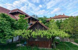 Conac boieresc, 4ha de teren și clădire pretabilă pentru Agropensiune, zona Șard