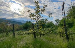 Conac boieresc, 4ha de teren și clădire pretabilă pentru Agropensiune, zona Șard
