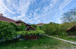 Conac boieresc, 4ha de teren și clădire pretabilă pentru Agropensiune, zona Șard