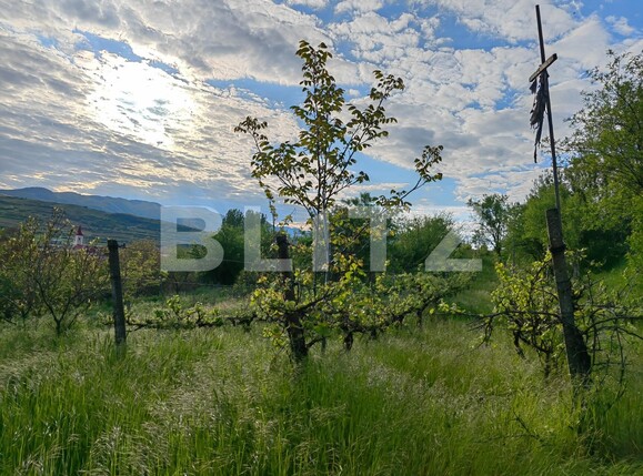 Casa de vânzare 5 camere Nord Vest - 115787CV | BLITZ Alba Iulia | Poza7