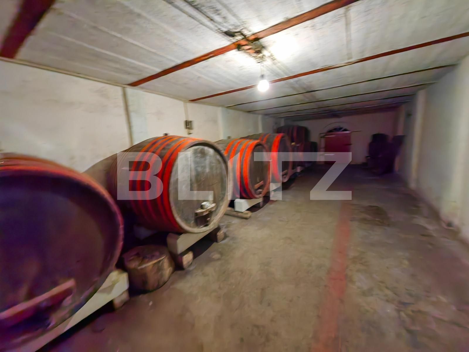 Casa de vânzare 5 camere Nord Vest - 115787CV | BLITZ Alba Iulia | Poza10