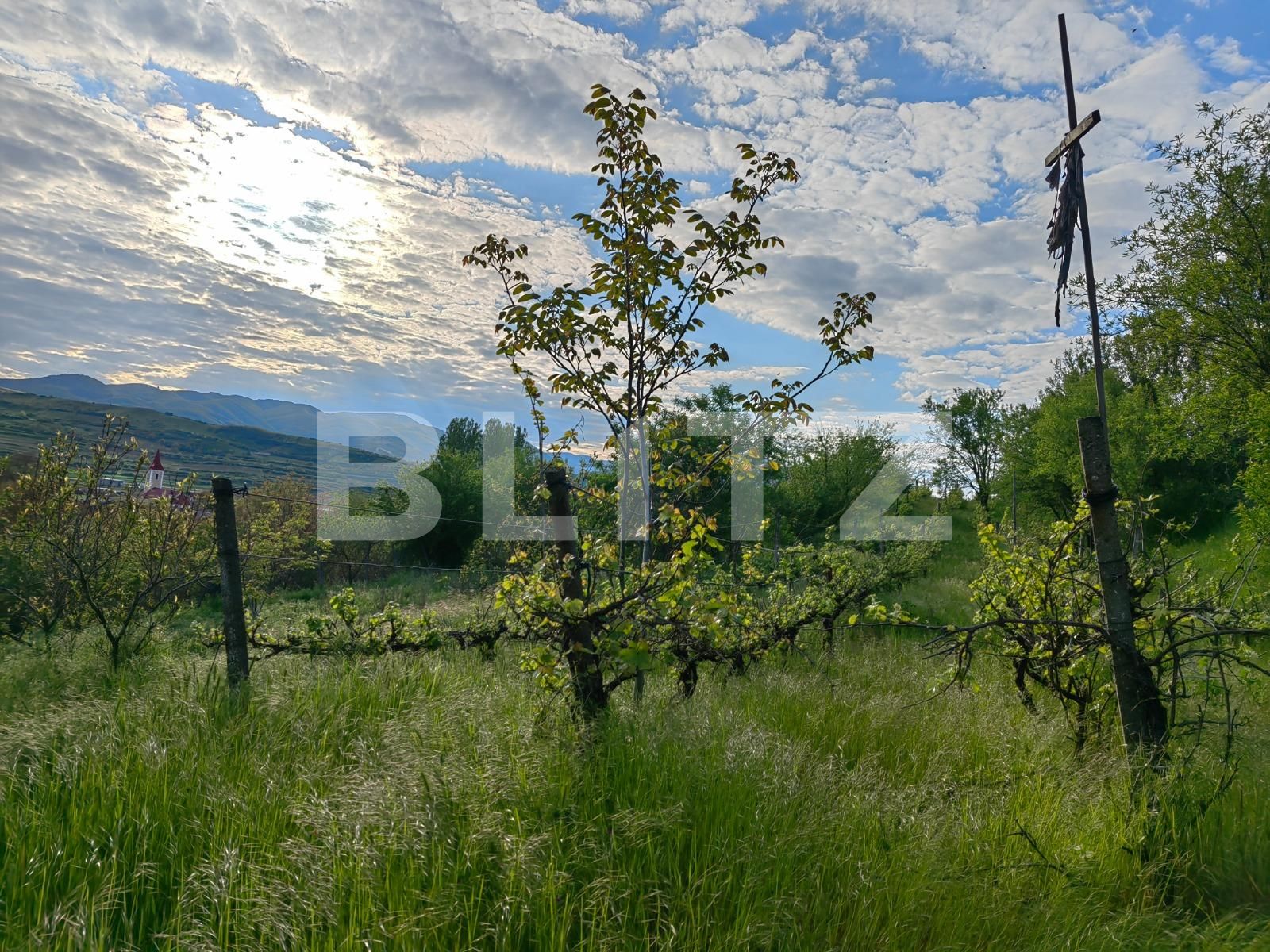 Casa de vânzare 5 camere Nord Vest - 115787CV | BLITZ Alba Iulia | Poza7