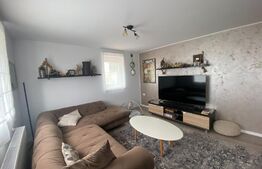 Apartament 3 camere la vila, 125mp, cu garaj, zona Kaufland-Micesti