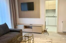 Apartament 2 camere, 50mp, Centru