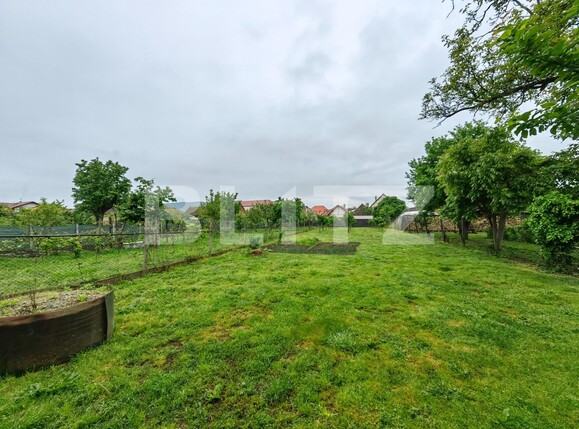 Casa de vânzare 5 camere Sebeș - 116437CV | BLITZ Alba Iulia | Poza14