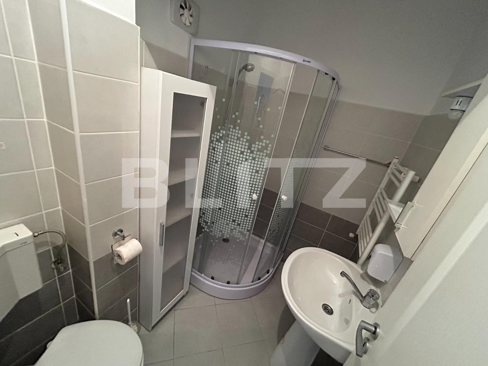 Apartament de închiriat 2 camere Central - 116464AI | BLITZ Alba Iulia | Poza3