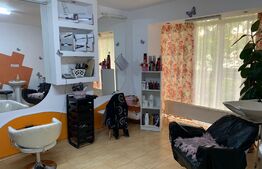 Spatiu comercial 46mp