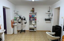 Spatiu comercial 46mp