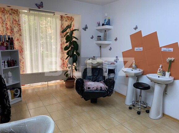 Spațiu comercial de vânzare Cetate - 116521SVC | BLITZ Alba Iulia | Poza1