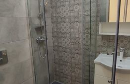 Apartament cu 1 camera, 40mp, Sebes