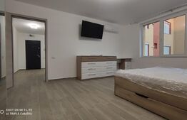 Apartament cu 1 camera, 40mp, Sebes