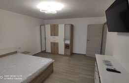 Apartament cu 1 camera, 40mp, Sebes