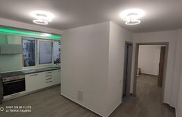 Apartament cu 1 camera, 40mp, Sebes