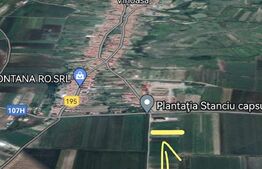 Teren extravilan, 800 mp, zona Bucerdea Vinoasă