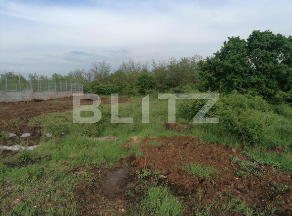 Teren de vânzare Cetate - 116640TV | BLITZ Alba Iulia | Poza2