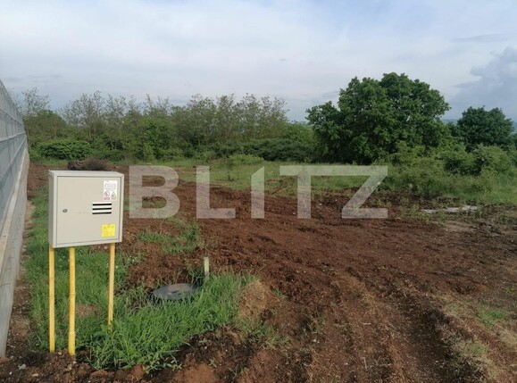 Teren de vânzare Cetate - 116640TV | BLITZ Alba Iulia | Poza1