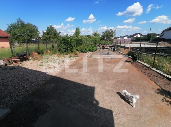 Casa de vânzare 4 camere Cetate - 116825CV | BLITZ Alba Iulia | Poza12