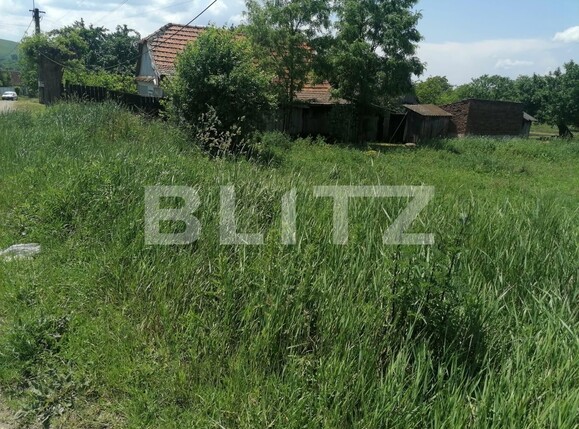 Teren de vânzare Sud - 117538TV | BLITZ Alba Iulia | Poza2
