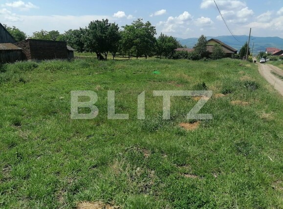 Teren de vânzare Sud - 117538TV | BLITZ Alba Iulia | Poza3