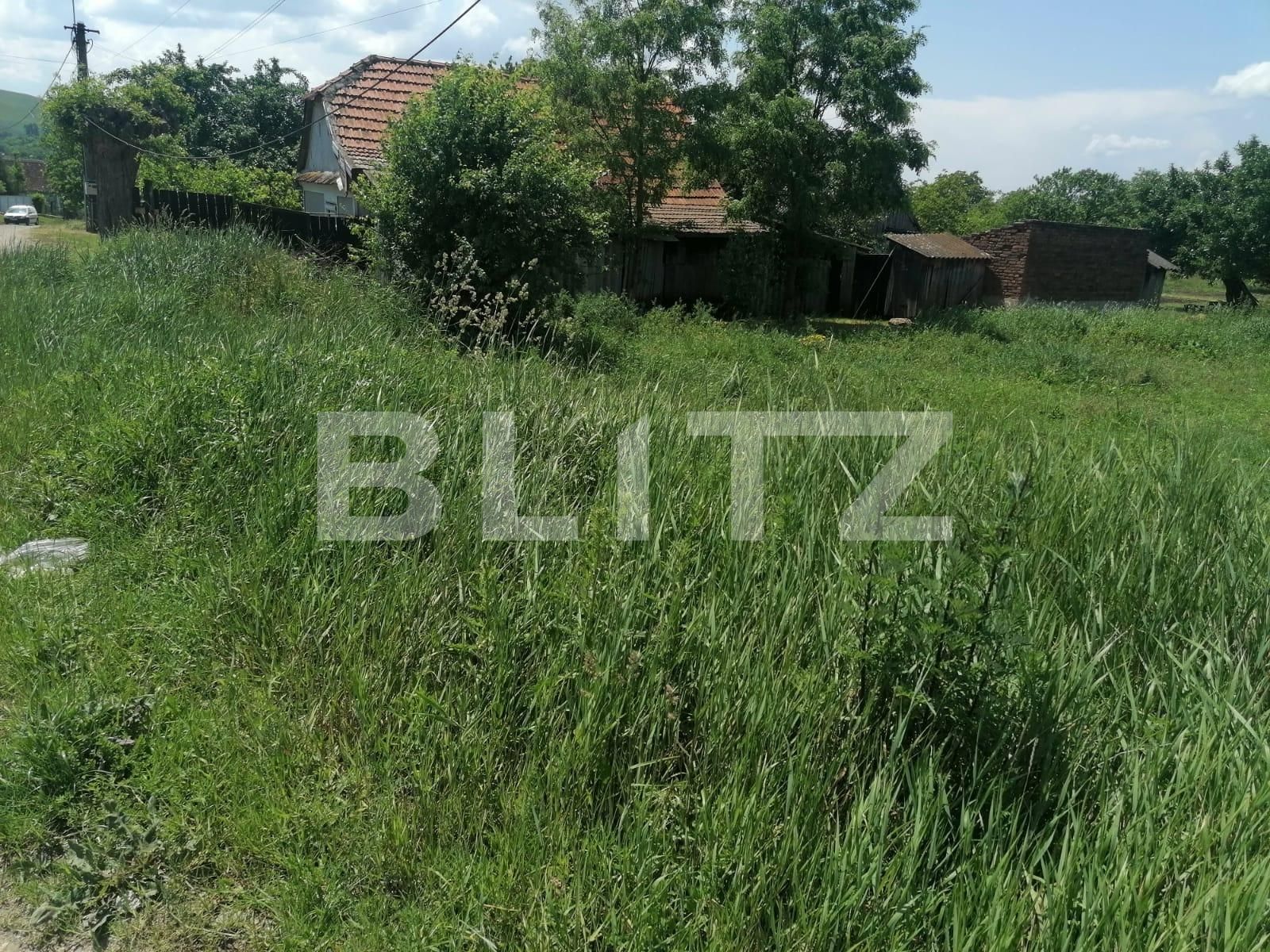 Teren de vânzare Sud - 117538TV | BLITZ Alba Iulia | Poza2