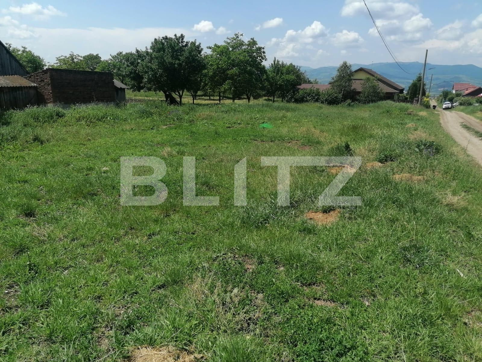 Teren de vânzare Sud - 117538TV | BLITZ Alba Iulia | Poza3