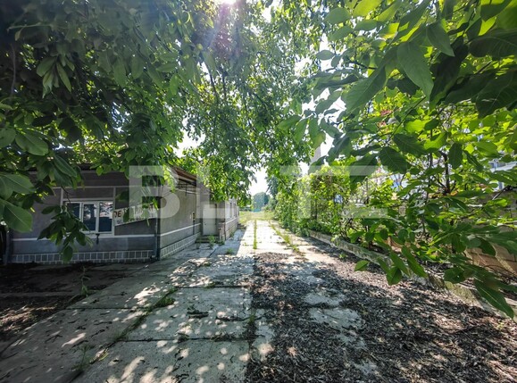 Casa de vânzare 3 camere Bărăbanț - 117543CV | BLITZ Alba Iulia | Poza1