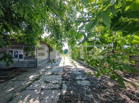 Casa de vânzare 3 camere Bărăbanț - 117543CV | BLITZ Alba Iulia | Poza2